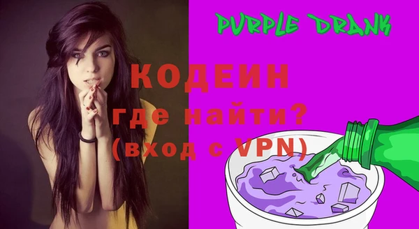 твердый Инта