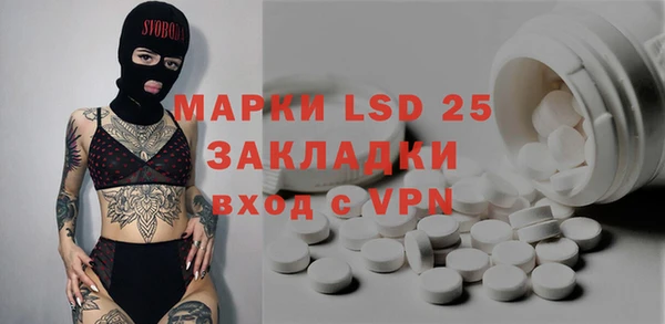 твердый Инта