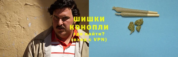 твердый Инта