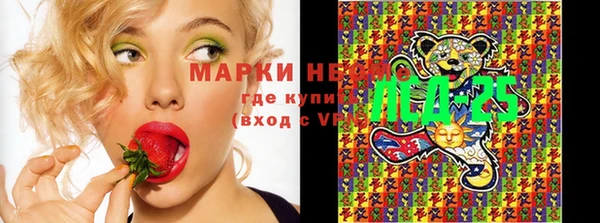 прущая мука Иннополис