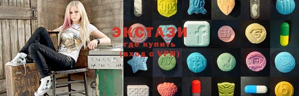 твердый Инта