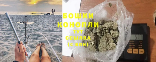 стафф Губаха