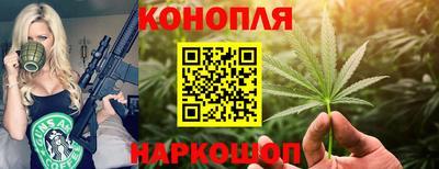 гидропоника Кулебаки
