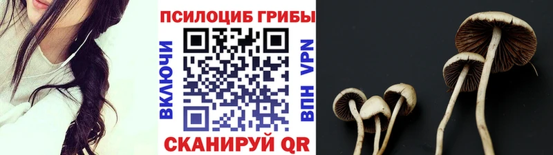 Псилоцибиновые грибы MAGIC MUSHROOMS  Касимов 