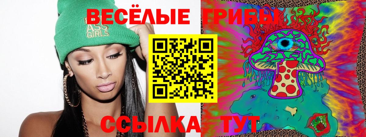 Псилоцибиновые грибы Psilocybe Касимов