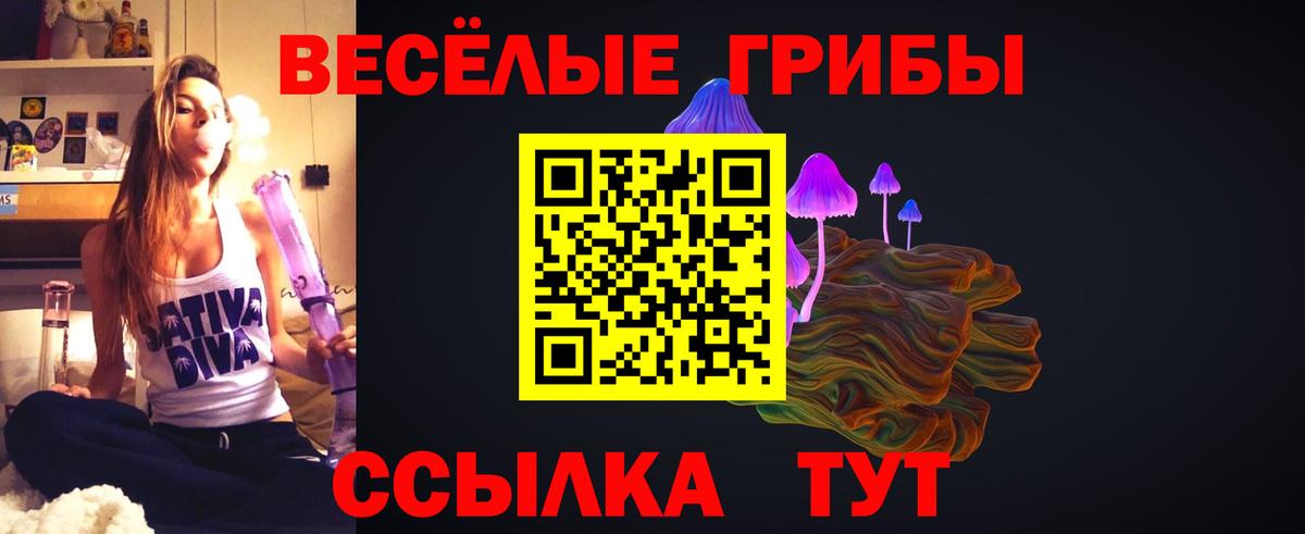 Псилоцибиновые грибы Psilocybe  Вход с VPN  цена наркотик  Касимов 